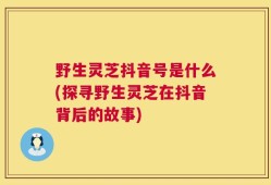 野生灵芝抖音号是什么(探寻野生灵芝在抖音背后的故事)