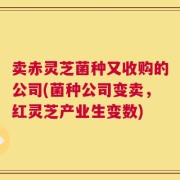 卖赤灵芝菌种又收购的公司(菌种公司变卖，红灵芝产业生变数)
