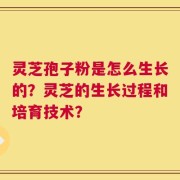 灵芝孢子粉是怎么生长的？灵芝的生长过程和培育技术？