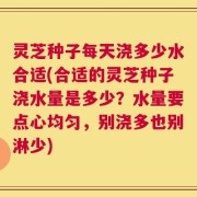 灵芝种子每天浇多少水合适(合适的灵芝种子浇水量是多少？水量要点心均匀，别浇多也别淋少)
