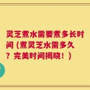 灵芝煮水需要煮多长时间 (煮灵芝水需多久？完美时间揭晓！)