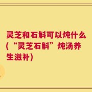 灵芝和石斛可以炖什么(“灵芝石斛”炖汤养生滋补)