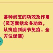 各种灵芝的功效及作用(灵芝囊括众多功效，从抗癌到调节免疫，全方位保健)