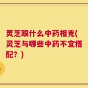 灵芝跟什么中药相克(灵芝与哪些中药不宜搭配？)