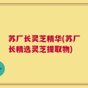 苏厂长灵芝精华(苏厂长精选灵芝提取物)