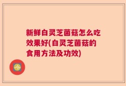 新鲜白灵芝菌菇怎么吃效果好(白灵芝菌菇的食用方法及功效)