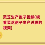 灵芝生产孢子视频(观看灵芝孢子生产过程的视频)