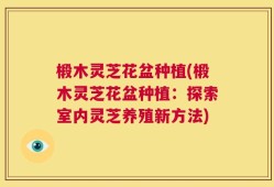 椴木灵芝花盆种植(椴木灵芝花盆种植：探索室内灵芝养殖新方法)