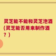 灵芝能不能和灵芝泡酒(灵芝能否用来制作酒？)