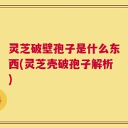 灵芝破壁孢子是什么东西(灵芝壳破孢子解析)