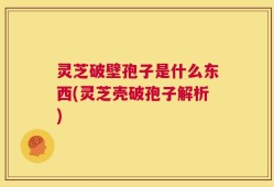 灵芝破壁孢子是什么东西(灵芝壳破孢子解析)