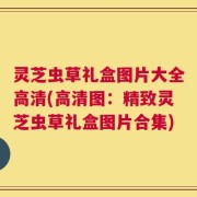 灵芝虫草礼盒图片大全高清(高清图：精致灵芝虫草礼盒图片合集)