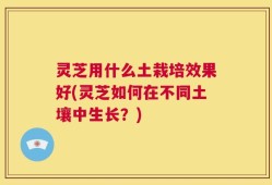 灵芝用什么土栽培效果好(灵芝如何在不同土壤中生长？)