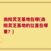 南阳灵芝基地在哪(南阳灵芝基地的位置在哪里？)