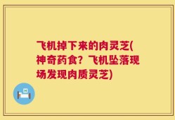 飞机掉下来的肉灵芝(神奇药食？飞机坠落现场发现肉质灵芝)