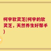 柯宇软灵芝(柯宇的软灵芝，天然养生好帮手)