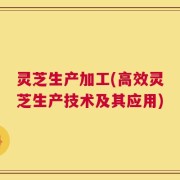灵芝生产加工(高效灵芝生产技术及其应用)