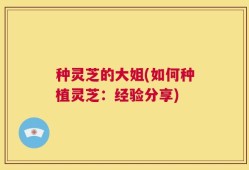 种灵芝的大姐(如何种植灵芝：经验分享)