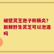 破壁灵芝孢子粉肠炎？新鲜野生灵芝可以泡酒吗