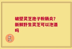 破壁灵芝孢子粉肠炎？新鲜野生灵芝可以泡酒吗