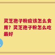 灵芝孢子粉应该怎么食用？灵芝孢子粉怎么吃最好