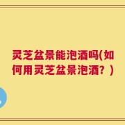 灵芝盆景能泡酒吗(如何用灵芝盆景泡酒？)