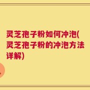 灵芝孢子粉如何冲泡(灵芝孢子粉的冲泡方法详解)