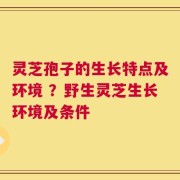 灵芝孢子的生长特点及环境 ？野生灵芝生长环境及条件