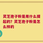 灵芝孢子粉是用什么提起的？灵芝孢子粉是怎么样的