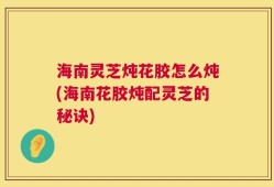 海南灵芝炖花胶怎么炖(海南花胶炖配灵芝的秘诀)