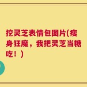挖灵芝表情包图片(瘦身狂魔，我把灵芝当糖吃！)