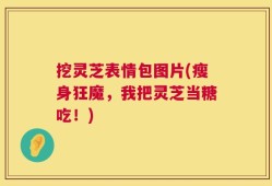 挖灵芝表情包图片(瘦身狂魔，我把灵芝当糖吃！)