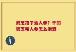 灵芝孢子油人参？干的灵芝和人参怎么泡酒