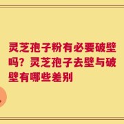 灵芝孢子粉有必要破壁吗？灵芝孢子去壁与破壁有哪些差别