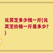 元灵芝多少钱一斤(元灵芝价格一斤是多少？)