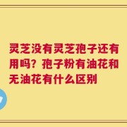 灵芝没有灵芝孢子还有用吗？孢子粉有油花和无油花有什么区别