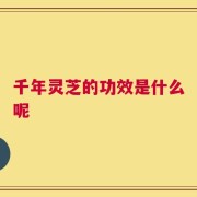 千年灵芝的功效是什么呢