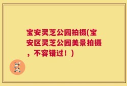 宝安灵芝公园拍摄(宝安区灵芝公园美景拍摄，不容错过！)