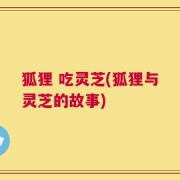 狐狸 吃灵芝(狐狸与灵芝的故事)