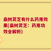 桑树灵芝有什么药用效果(桑树灵芝：药用功效全解析)