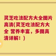 灵芝吃法配方大全图片高清(灵芝吃法配方大全 营养丰富，多图高清详解！)