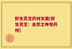 野生灵芝药材文案(野生灵芝：自然之神奇药材)