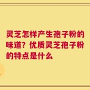 灵芝怎样产生孢子粉的味道？优质灵芝孢子粉的特点是什么