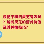 没孢子粉的灵芝有效吗？解析灵芝的营养价值及其种植技巧？