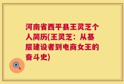河南省西平县王灵芝个人简历(王灵芝：从基层建设者到电商女王的奋斗史)