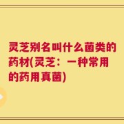 灵芝别名叫什么菌类的药材(灵芝：一种常用的药用真菌)