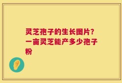 灵芝孢子的生长图片？一亩灵芝能产多少孢子粉