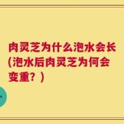 肉灵芝为什么泡水会长(泡水后肉灵芝为何会变重？)