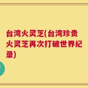 台湾火灵芝(台湾珍贵火灵芝再次打破世界纪录)