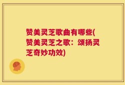 赞美灵芝歌曲有哪些(赞美灵芝之歌：颂扬灵芝奇妙功效)